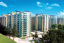 pp电子模拟器如意苑招租信息（2022.1.29）