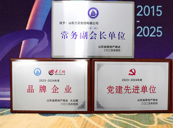 山东pp电子模拟器集团参加第十届山东省房地产业 高质量发展研讨会并获多项荣誉称号